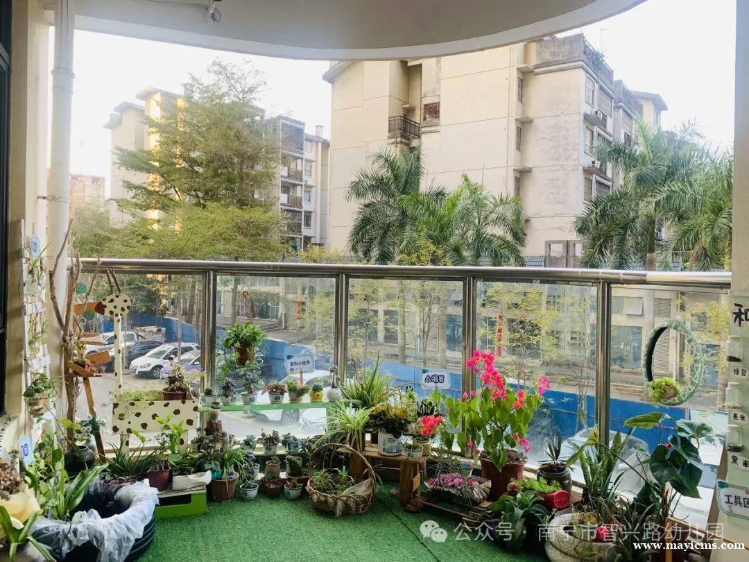 /attachment/editor/20250225/1740447988u2uma.jpg /attachment/editor/20250225/1740447988u2uma.jpg